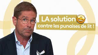 Santé  LA solution contre les punaises de lit [upl. by Annodahs]