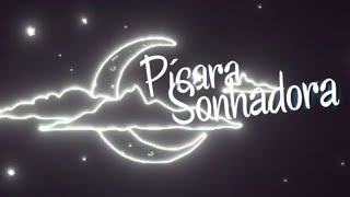 Pícara Sonhadora  Abertura Remake [upl. by Neumann134]