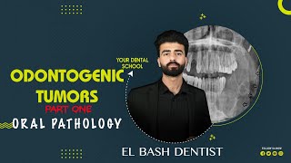 odontogenic tumors  ameloblastoma  part 1  oral pathology عزت شومان [upl. by Leff812]