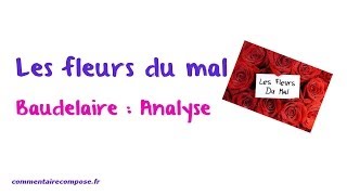 Les fleurs du mal Baudelaire  analyse [upl. by Barbe]