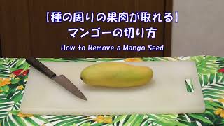 三枚におろさない【種の周りの果肉が取れる】マンゴーの切り方 How to Remove a Mango Seed [upl. by Romeon]