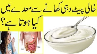 Dahi Khali Pait khany Se Maday Main Kia Hota Hai  Yogurt Eating Benefits [upl. by Notsirb620]