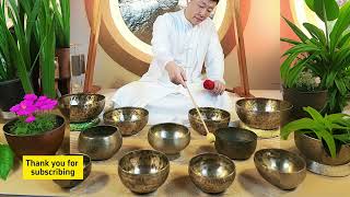 Calm Mind Clear Soul Tibetan Singing Bowls for Daily HarmonySingingBowls [upl. by Novahs]