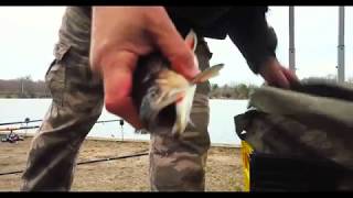 Fishing at Belmont Lake [upl. by Adneram]