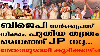 ബിജെപി സർപ്രൈസ് നീക്കം പുതിയ തന്ത്രം മെനഞ്ഞ് JP നദ്ദ ശോഭയുമായി കൂടിക്കാഴ്ച [upl. by Penny]