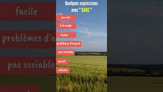 Expressions avec quot DANSquot Vocabulaire en français facile learnfrench [upl. by Asquith]