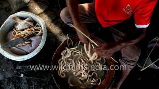 Intestines being filled with pig meat in Meghalaya India [upl. by Aik188]