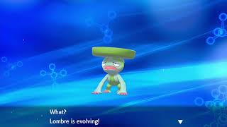 pokemon shield evolving lotad into lombre then into ludicolo [upl. by Dione]