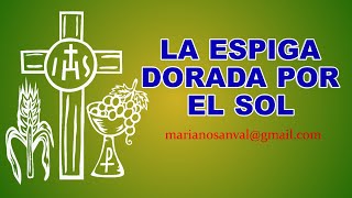 LA ESPIGA DORADA POR EL SOL 4 VERSIÓN KARAOKE INSTRUMENTAL [upl. by Nilrah]