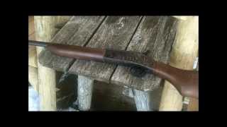 New England Firearms 410 shotgun [upl. by Eremaj]