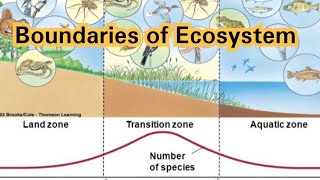 Boundaries of ecosystem  ecological boundaries of ecosystem  learn botany with sara Ismail [upl. by Irmgard]