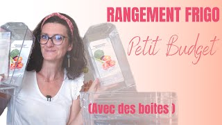 ORGANISATION  Je range mon petit FRIGO avec un petit budget [upl. by Nwahsed525]