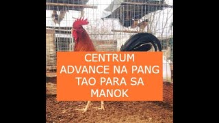 Sabong tips CENTRUM ADVANCE NA PANG TAO PARA SA MANOK [upl. by Latrice348]