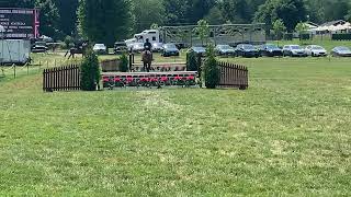 Genetic ridden by Nikki Ventresca 2024 FCHC June Show 2’6” Hunter Derby [upl. by Amilah]