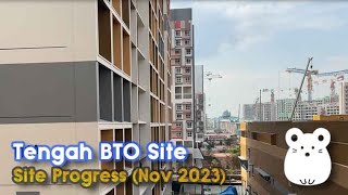 Tengah BTO Site Construction Progress Nov 2023  Plantation Acres and etc  4K [upl. by Angelia]