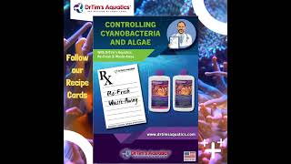 Controlling Cyanobacteria [upl. by Sy264]