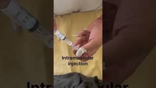 How to loading injection injection nurses hospital intramuscularinjection youtubeshorts doctor [upl. by Emlynn]