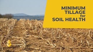 Conservation tillage practices in carbon farming for soil health [upl. by Eilrahc]