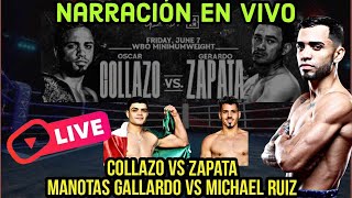 Collazo vs Zapata Narración EN VIVO  REY MTZ DA POSITIVO y Demás Noticias [upl. by Ahsinawt]