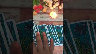 Dont Skip 🦋tarotcards astrology love manifest soulmate twinflame zodiac fyp usa youtube [upl. by Harshman667]