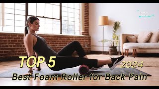 TOP 5 Best Foam Roller for Back Pain 2024 [upl. by Naryt307]