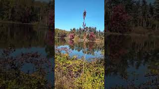 Hoopes Reservoir in Greenville Delaware [upl. by Crosley]