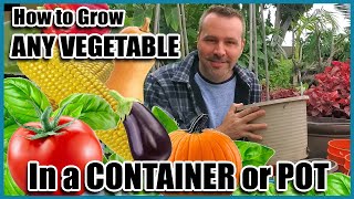 How to Grow Vegetables in Containers  Container Gardening  Self Sufficient Sunday [upl. by Naoma]