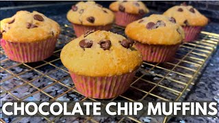 Chocolate Chip Muffins Recipe [upl. by Hanselka97]