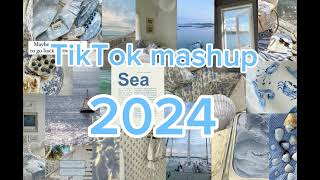 TikTok mashup 2024NOT CLEANtiktokmashup dances viral song 2024 mashup edit frypシ [upl. by Ignacia944]