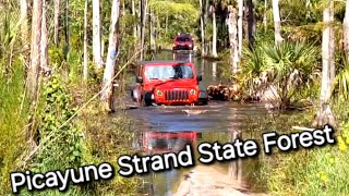 Off Roading at Picayune Strand State Forest Florida [upl. by Satterlee302]