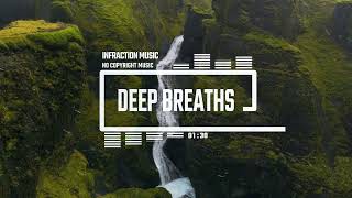 Documentary Violin Cinematic by Infraction No Copyright Music  Deep Breaths [upl. by Eet]