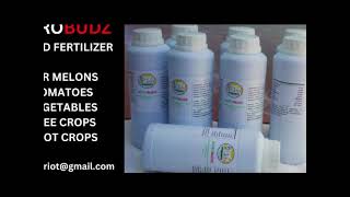 BEST LIQUID FOLIAR FERTILIZER AGROBUDZ [upl. by Nnitsuj]