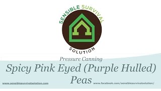 Pressure Canning Spicy Pink Eyed Purple Hull Peas [upl. by Lahcim68]