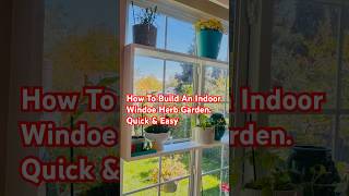 How To Build Quick amp Easy Indoor Herb Garden shorts shortfeed herbgarden trending viralvideo [upl. by Dorlisa]