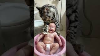 Cat bathes baby [upl. by Innavoeg]