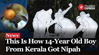 Nipah Virus This Is How 14Year Old Boy From Kerala Got Nipah  Nipah Virus Kerala [upl. by Nodal640]