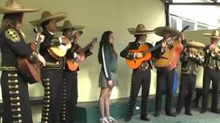 LOS MARIACHIS FERNANDEZ LE CANTAN A ROMINA EN SU CUMPLE [upl. by Aline]