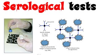 Serological tests [upl. by Harmony]