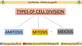 TYPES OF CELL DIVISION  AMITOSIS  MITOSIS  MEIOSIS [upl. by Sokairyk]