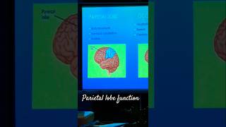 rajipraveen parietal lobe function Bindhu miss [upl. by Paola829]