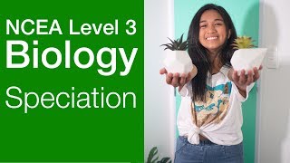 Speciation  NCEA Level 3 Biology Strategy Video  StudyTime NZ [upl. by Connolly]