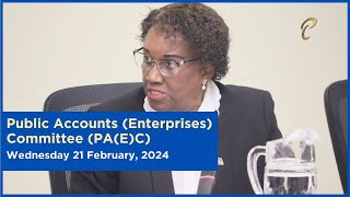 20th Meeting  Public Accounts Enterprises Committee  February 21 2024  ExporTT Limited [upl. by De]