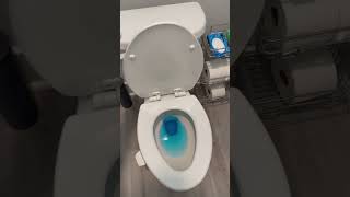 How to close a lid on a toilet seat [upl. by Richia654]