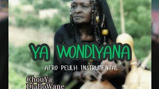 Instrumental iNa Baba Coulibaly Yawondiyana beat Zikiri 2024 Prod ChouYa DialloWane 223 78641250 [upl. by Leeth133]