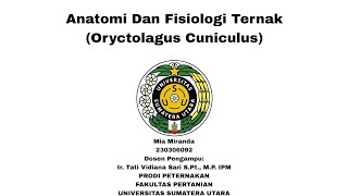 ANATOMI DAN FISIOLOGI TERNAK  ORYCTOLAGUS CUNICULUS  RUMINANSIA [upl. by Amund]