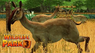 Macrauchenia Wildlife Park 3 Gameplay HD [upl. by Nevile]