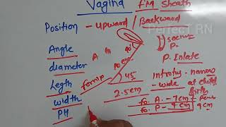 Positon 🛟 of vagina and Vaginal PH 🚦 [upl. by Borlase]