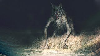 Top 5 Creepy Cryptids Possessed By Demonic Entities [upl. by Anthiathia]