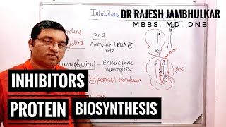 8 Inhibitors of Protein Biosynthesis [upl. by Ahsia]