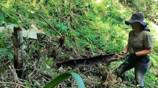 Working On My Rural Colombian Homestead Living in the Mountains [upl. by Nnoryt]